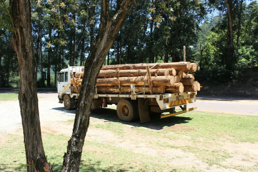 Camion chargé de grumes de bois tropical africain pour la construction bois